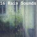 16 Rain Sounds for Sleep and Meditation. Zen Sounds Spa Sounds