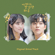 어쩌다 발견한 하루 OST