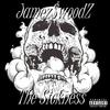 JameZ$WoodZ - The Sickness
