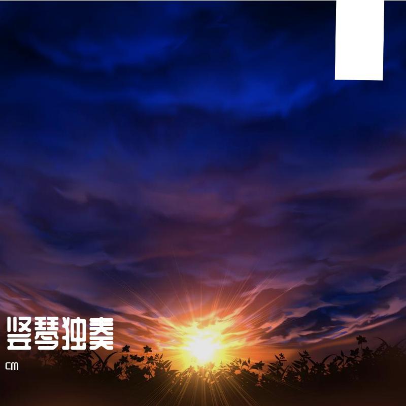 竖琴独奏
