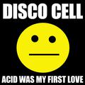 Acid Was My First Love