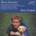 Schubert: Piano Works Vol. 3