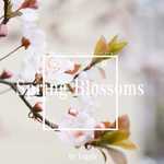 Spring Blossoms专辑