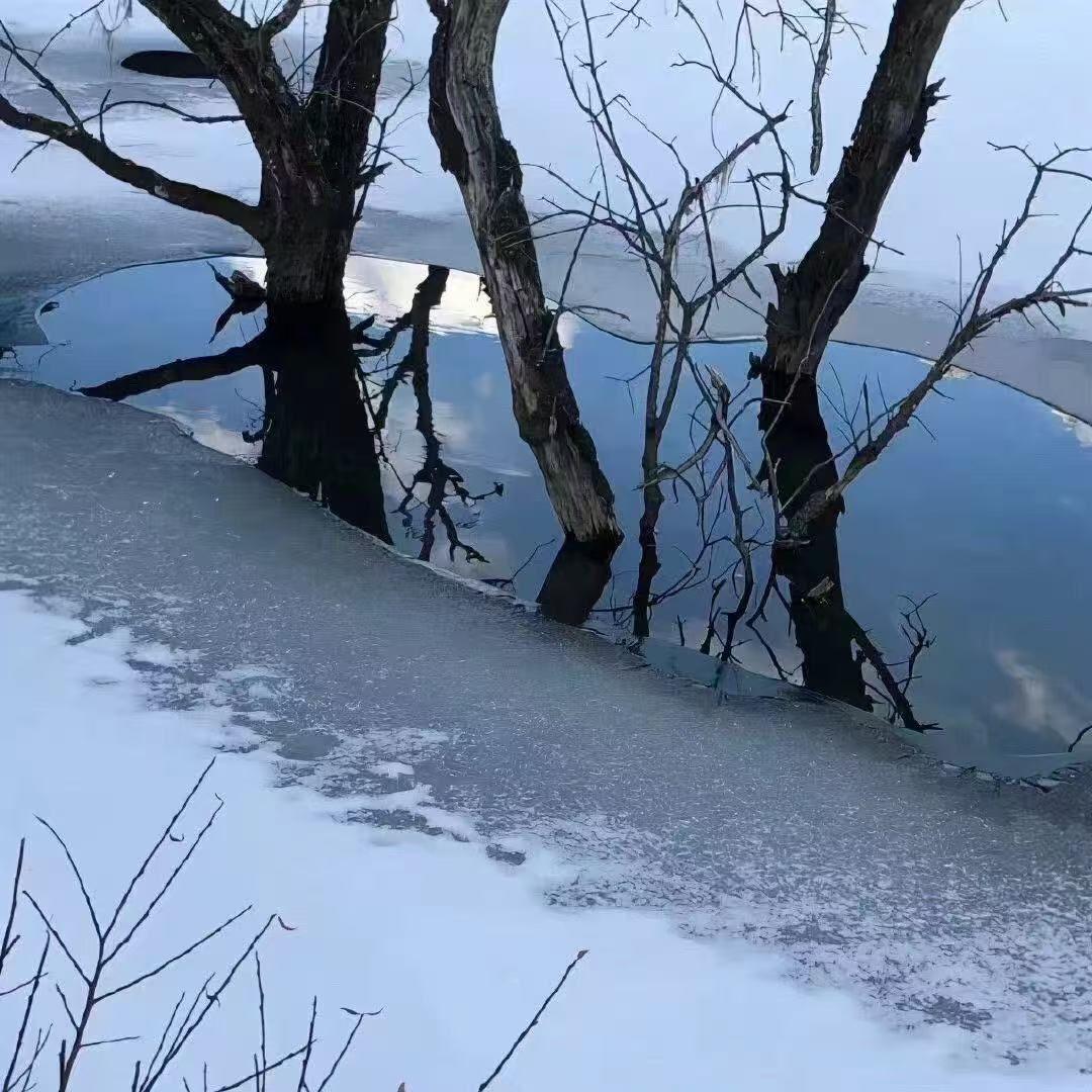 海的心跳