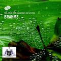 Johannes Brahms