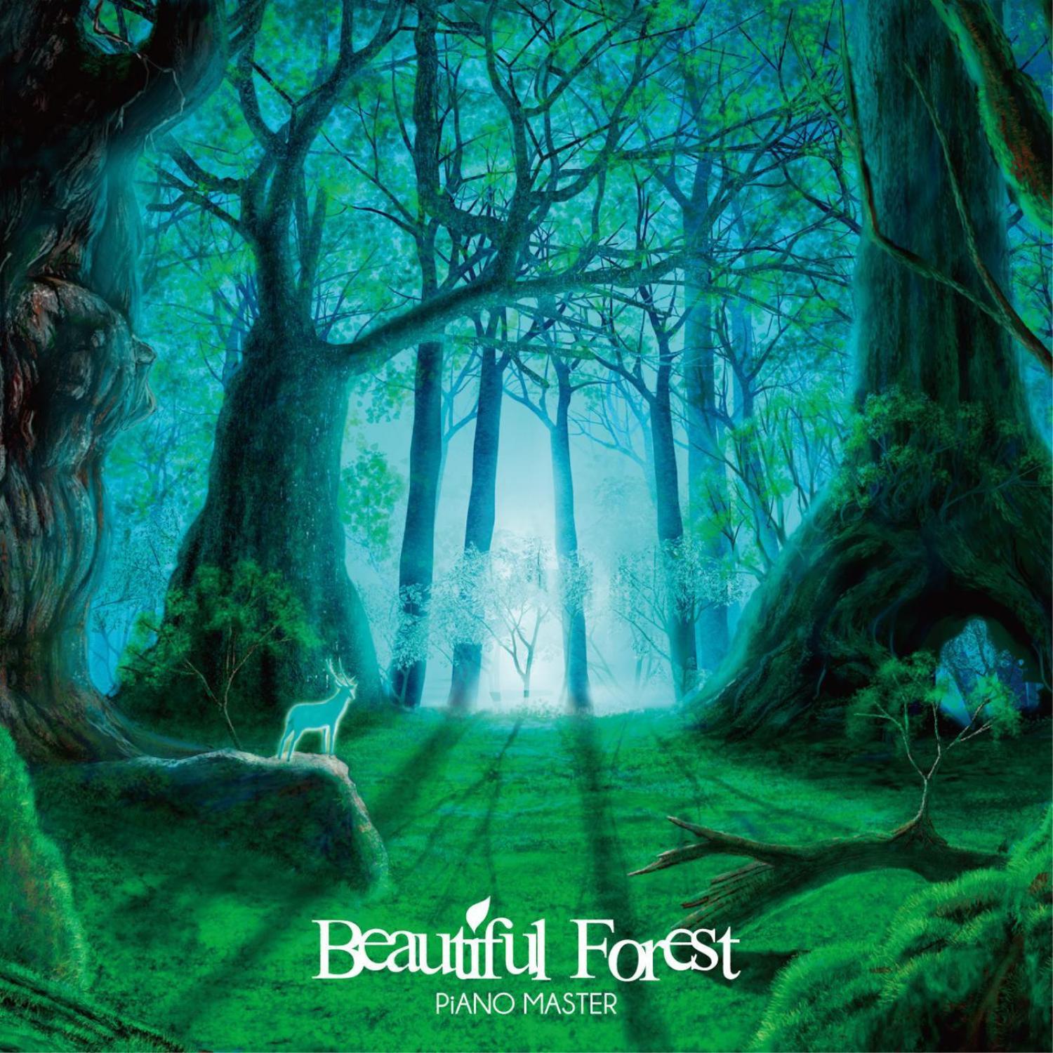 Beautiful Forest专辑