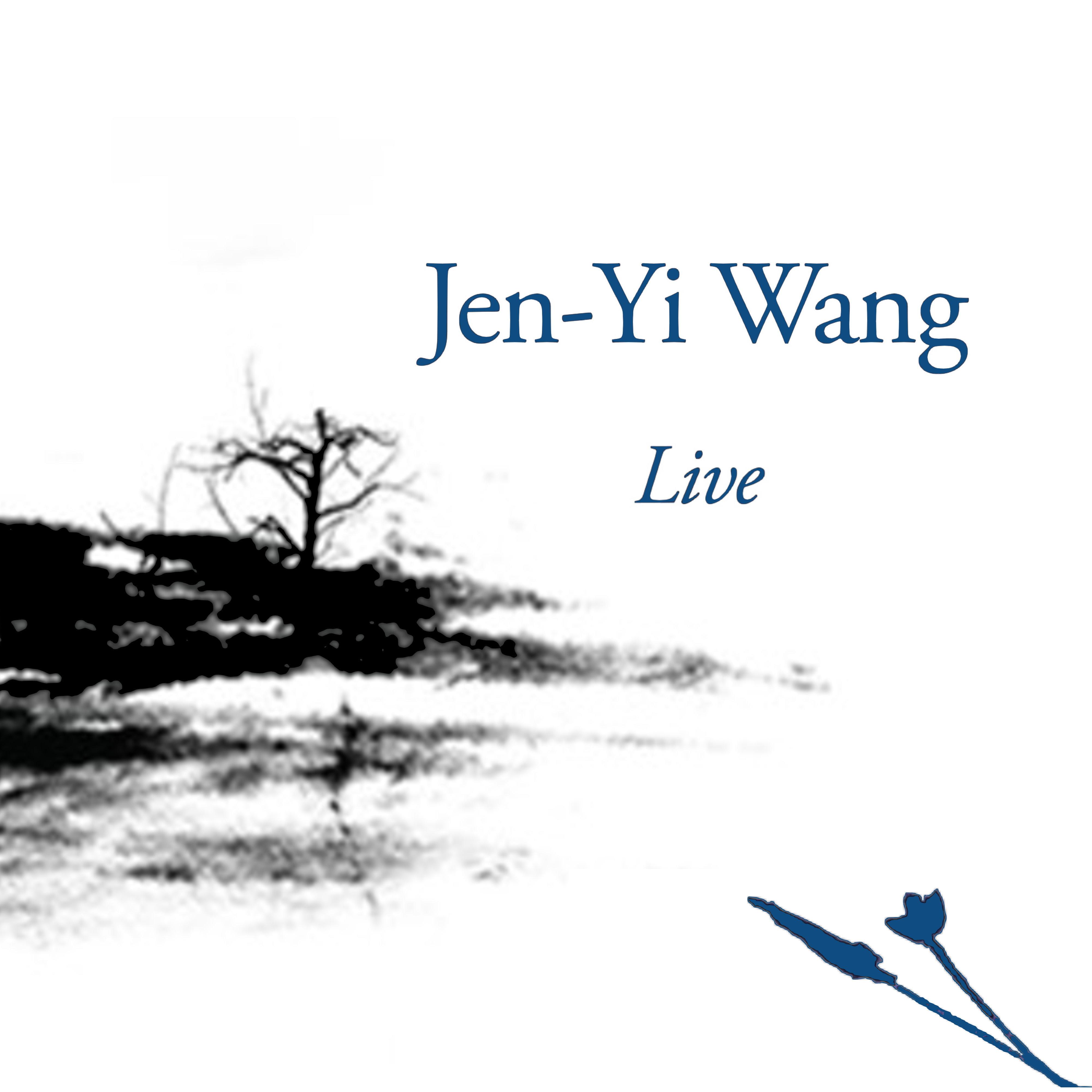 Contemplate: Jen-Yi Wang Live IV