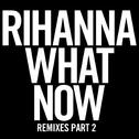 What Now (Remixes Part 2)专辑
