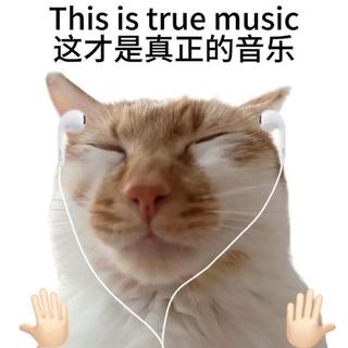 华语热歌 你的耳朵逃不过这些歌