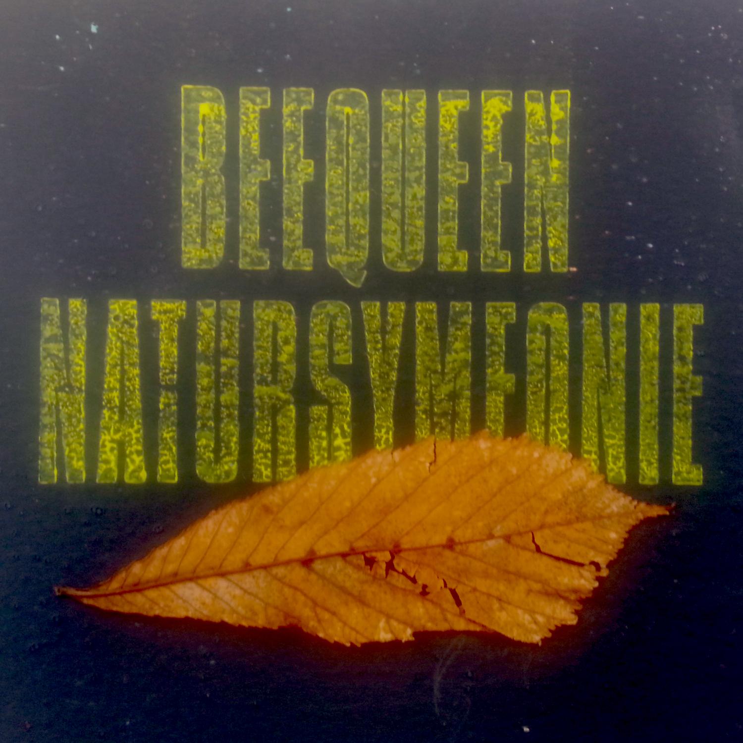 Natursymfonie
