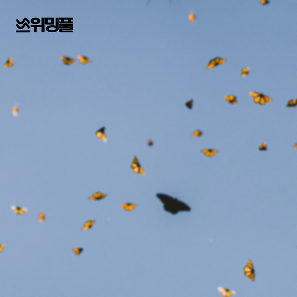 아무 일도 아닌
