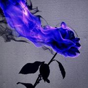 不一样