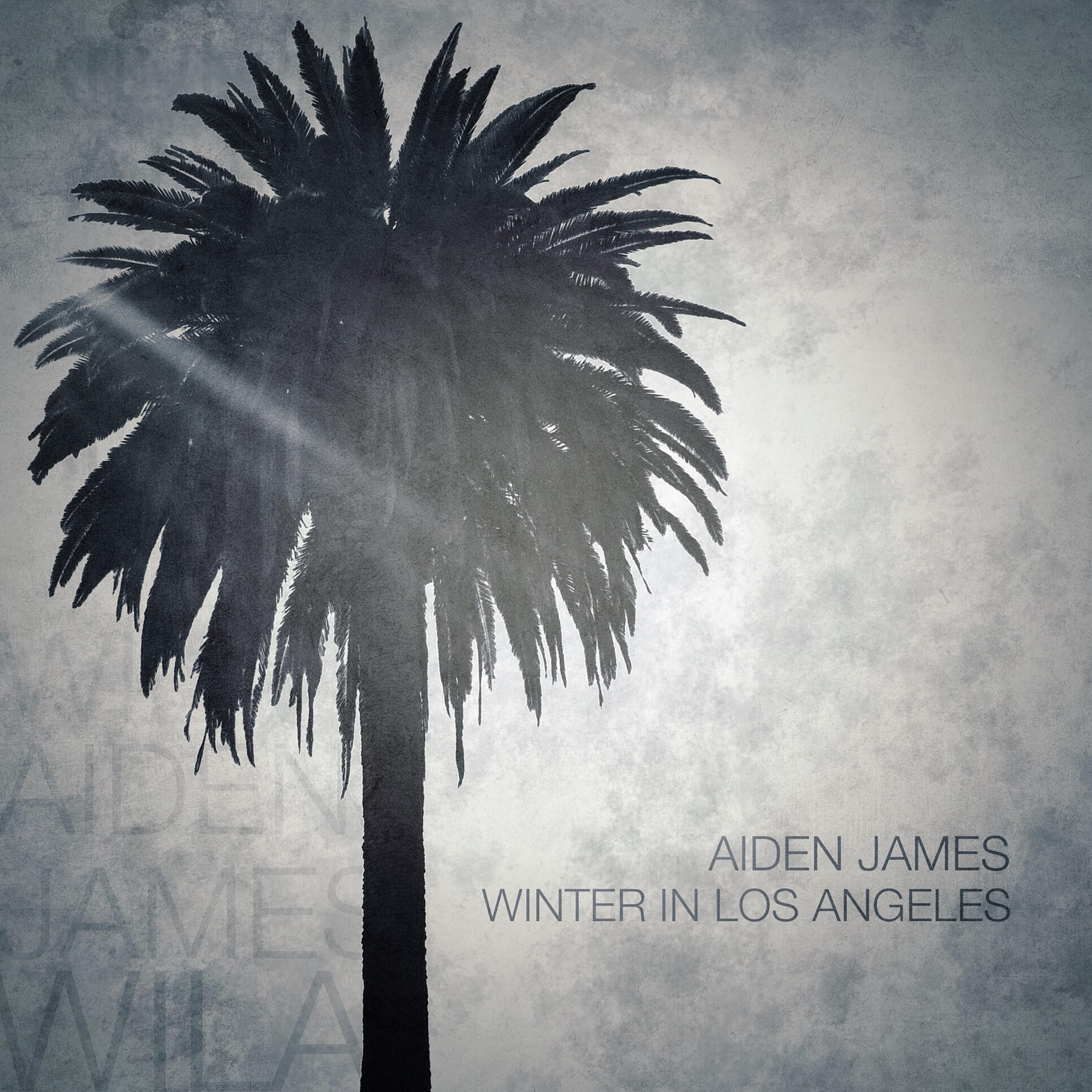 Winter in Los Angeles
