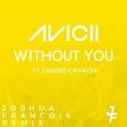 Without You (Joshua Francois Remix)
