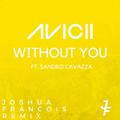 Without You (Joshua Francois Remix)