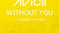 Without You (Joshua Francois Remix)专辑