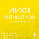 Without You (Joshua Francois Remix)专辑