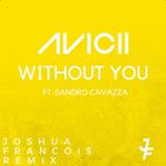 Without You (Joshua Francois Remix)专辑