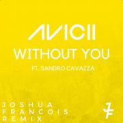 Without You (Joshua Francois Remix)