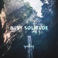 Busy Solitude