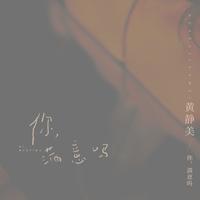 黄静美 - 你,满意吗(DJ阿超 Remix伴奏)