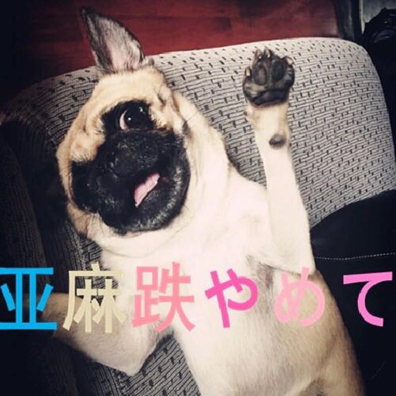嘿嘿