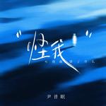 怪我（可我做错了什么）专辑