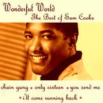 Wonderful World - The Best of Sam Cooke专辑