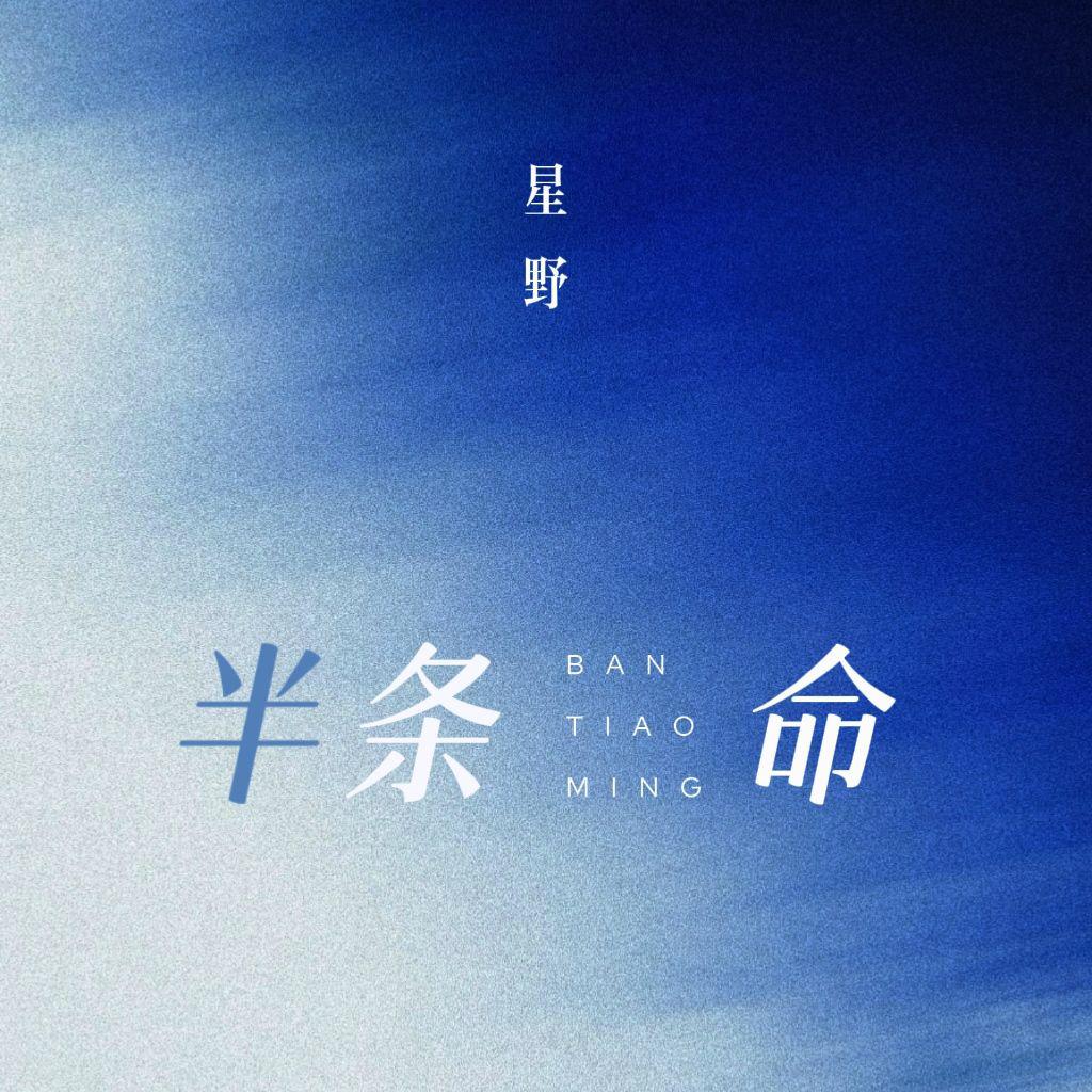 半条命专辑