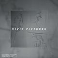 Vivid Pictures