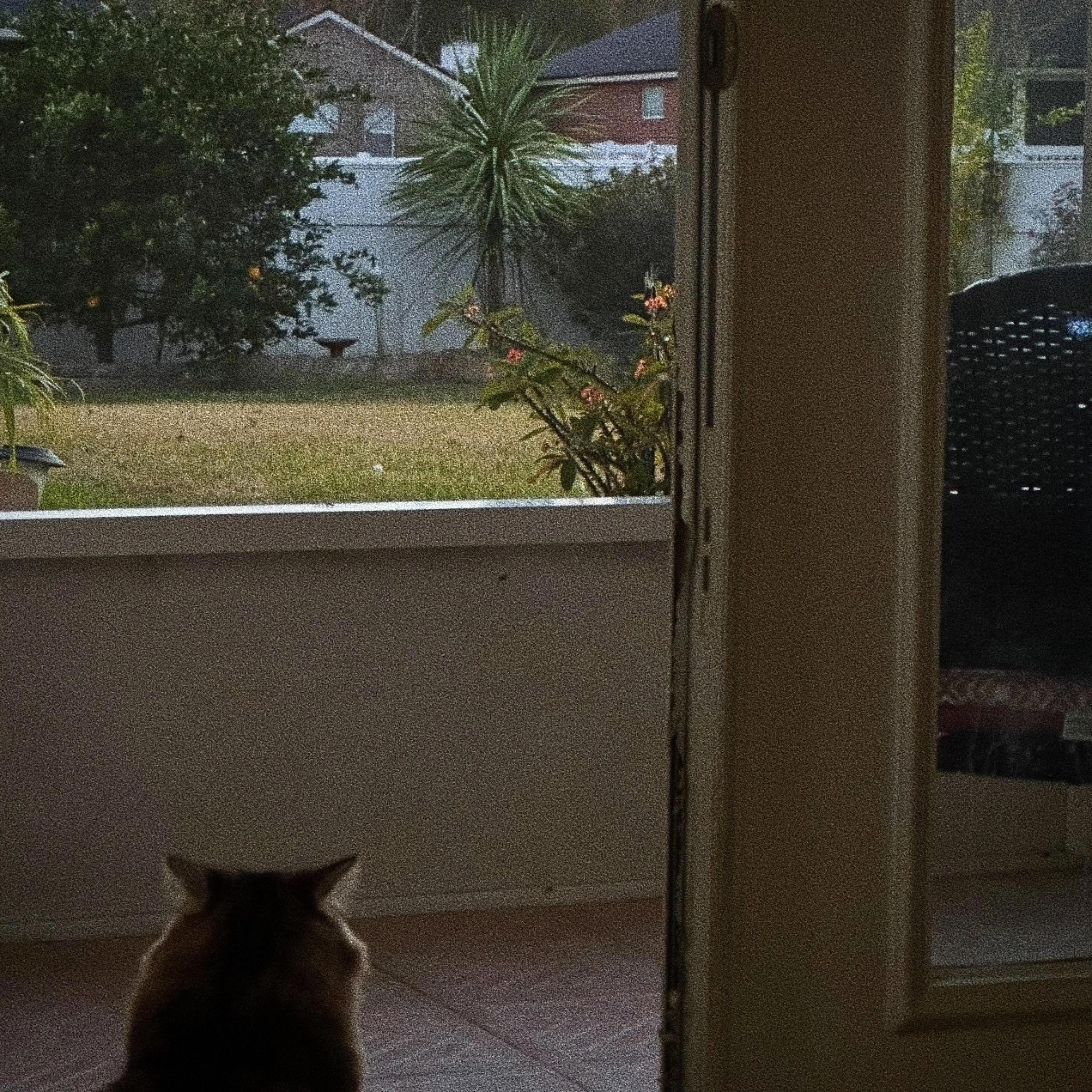 Escape the simulation