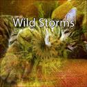 Wild Storms专辑