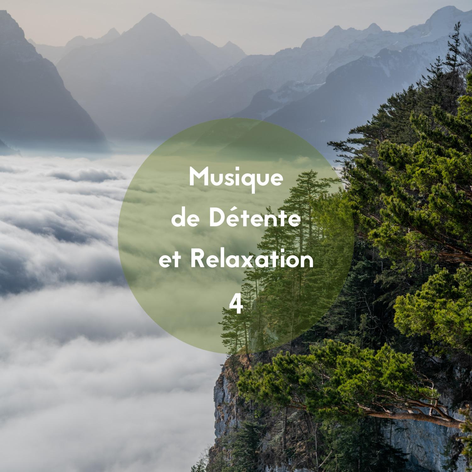 Musique de détente et relaxation, Vol. 4