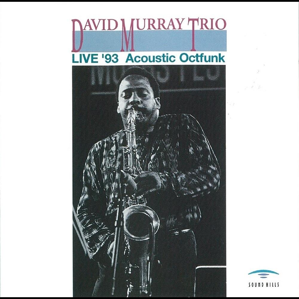 Joanne's Green Satin Dress (Live ver.)