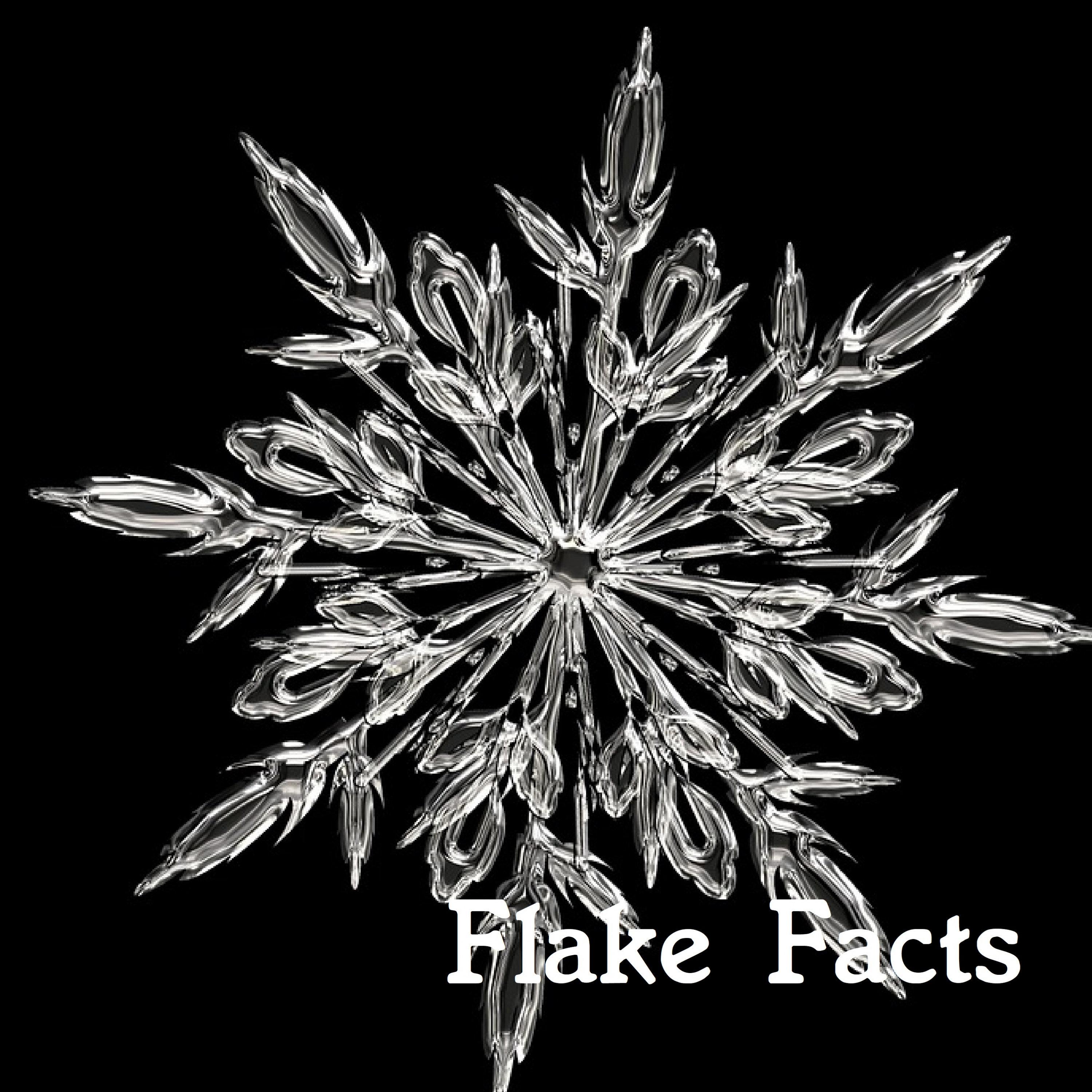 Triangular Snowflake