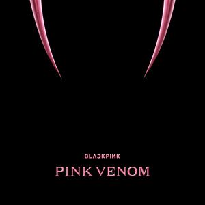 Blackpink (블랙핑크) - Pink Venom (Karaoke Version) 带和声伴奏 （升6半音）