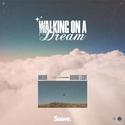 Walking On A Dream