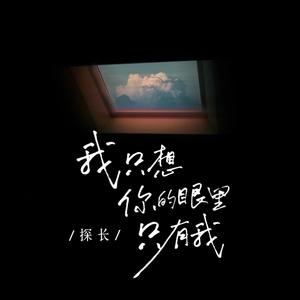 何鹏、冷漠、陈瑞 - 不要再说你还爱我 (DJ版)(精消带伴唱)伴奏