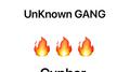 Unknown Gang专辑