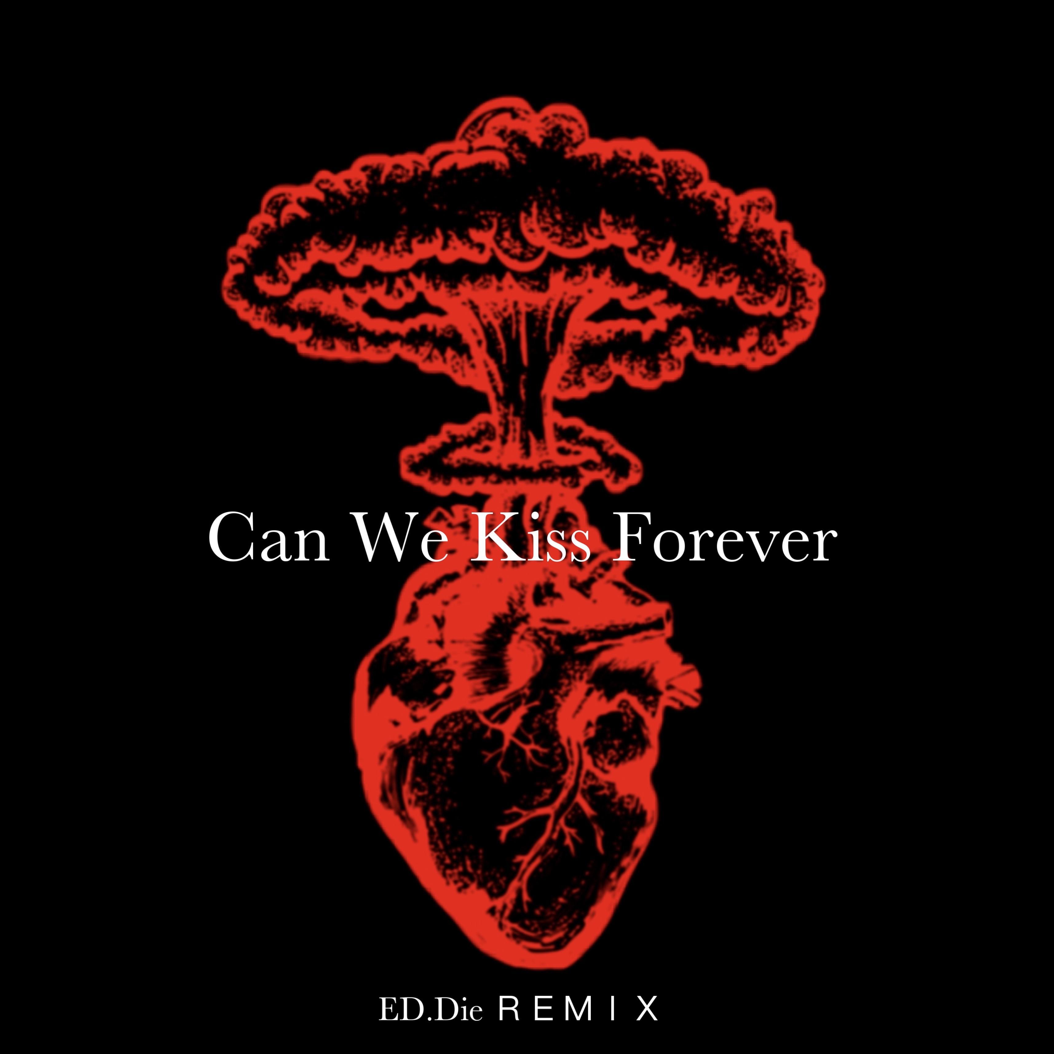 Kina-Can We Kiss Forever（ED.Die Remix）
