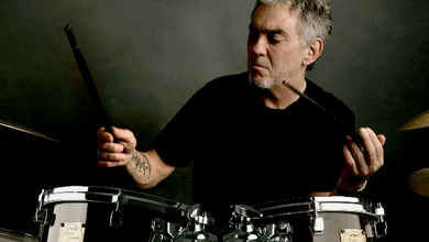 Steve Gadd