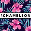 Chameleon专辑