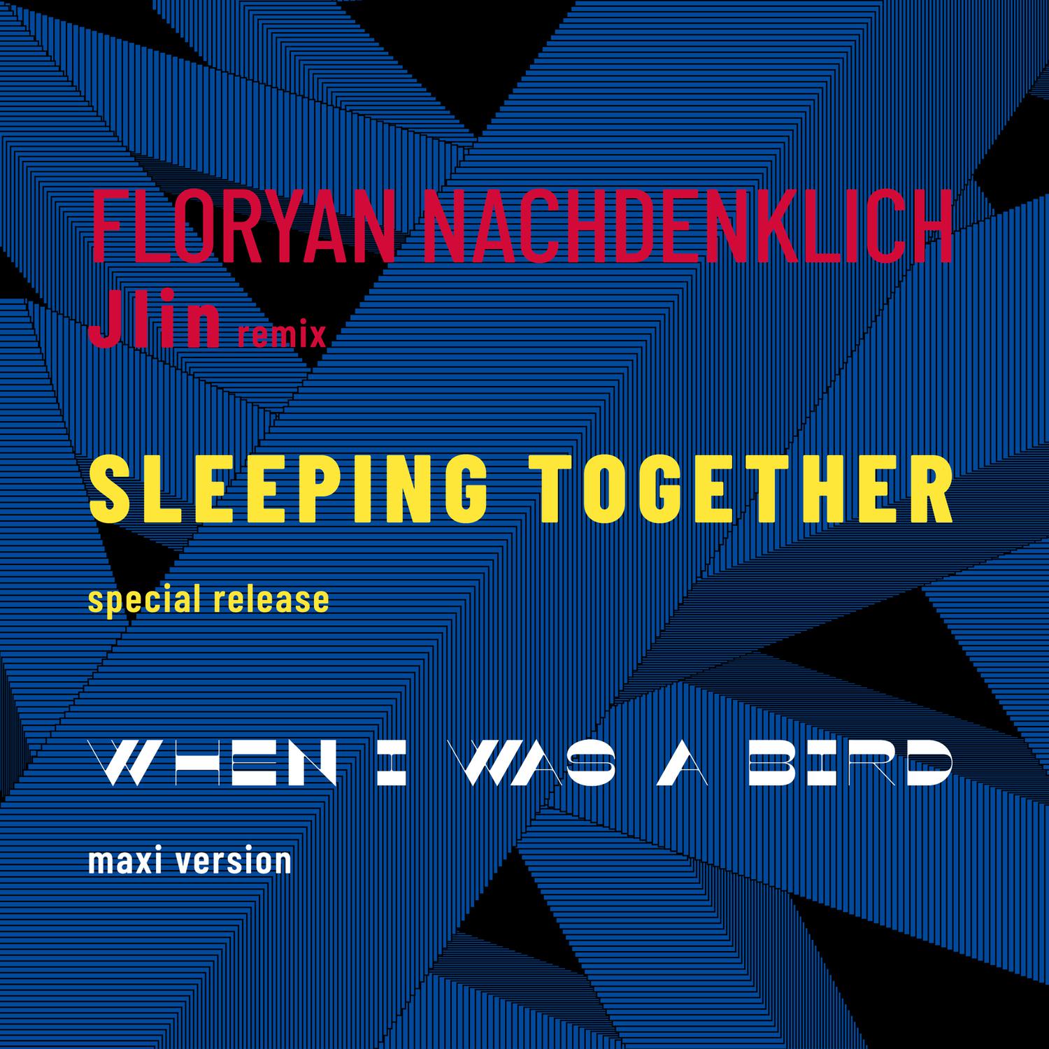 Stepha Schweiger - Sleeping Together