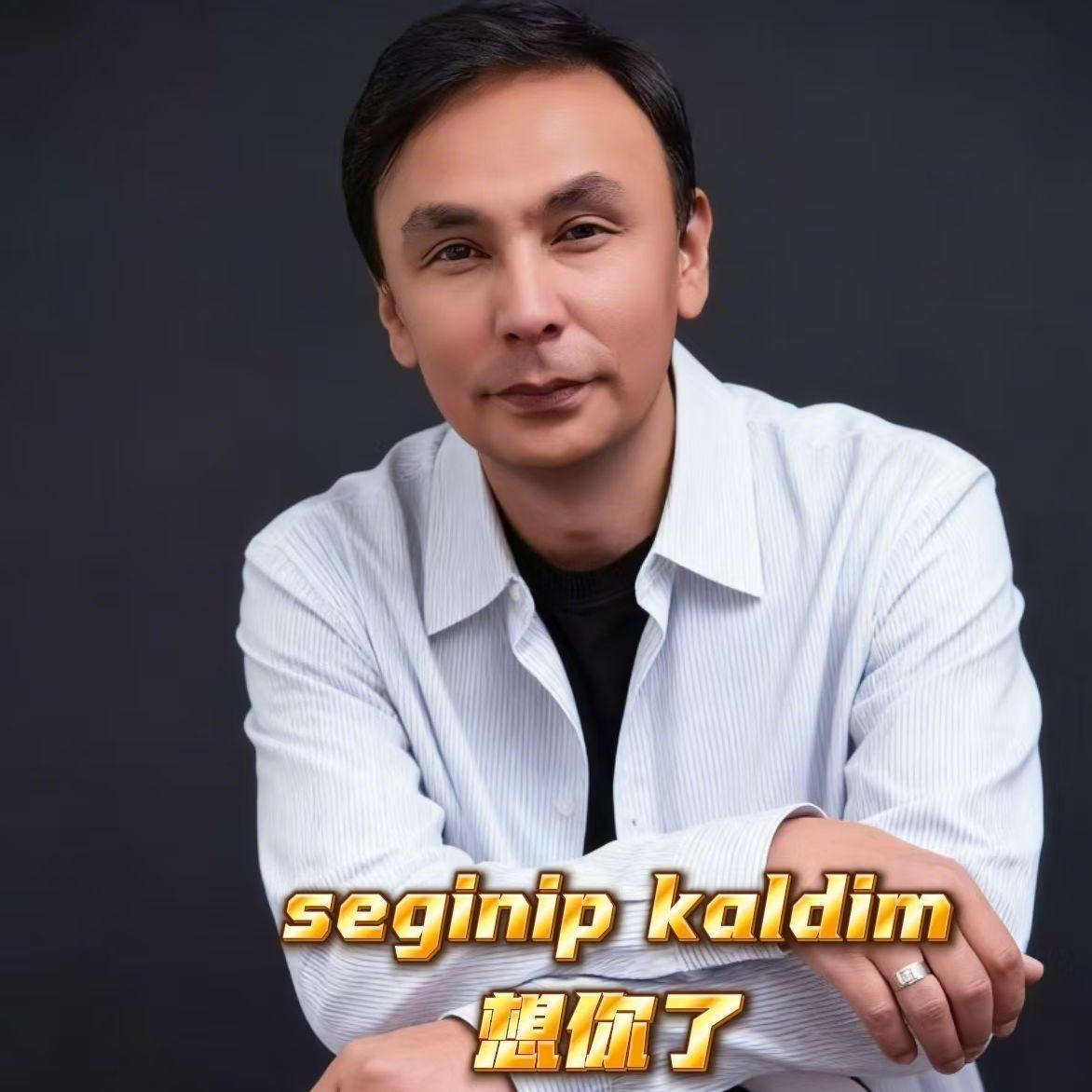 seginip kaldim(想你了）