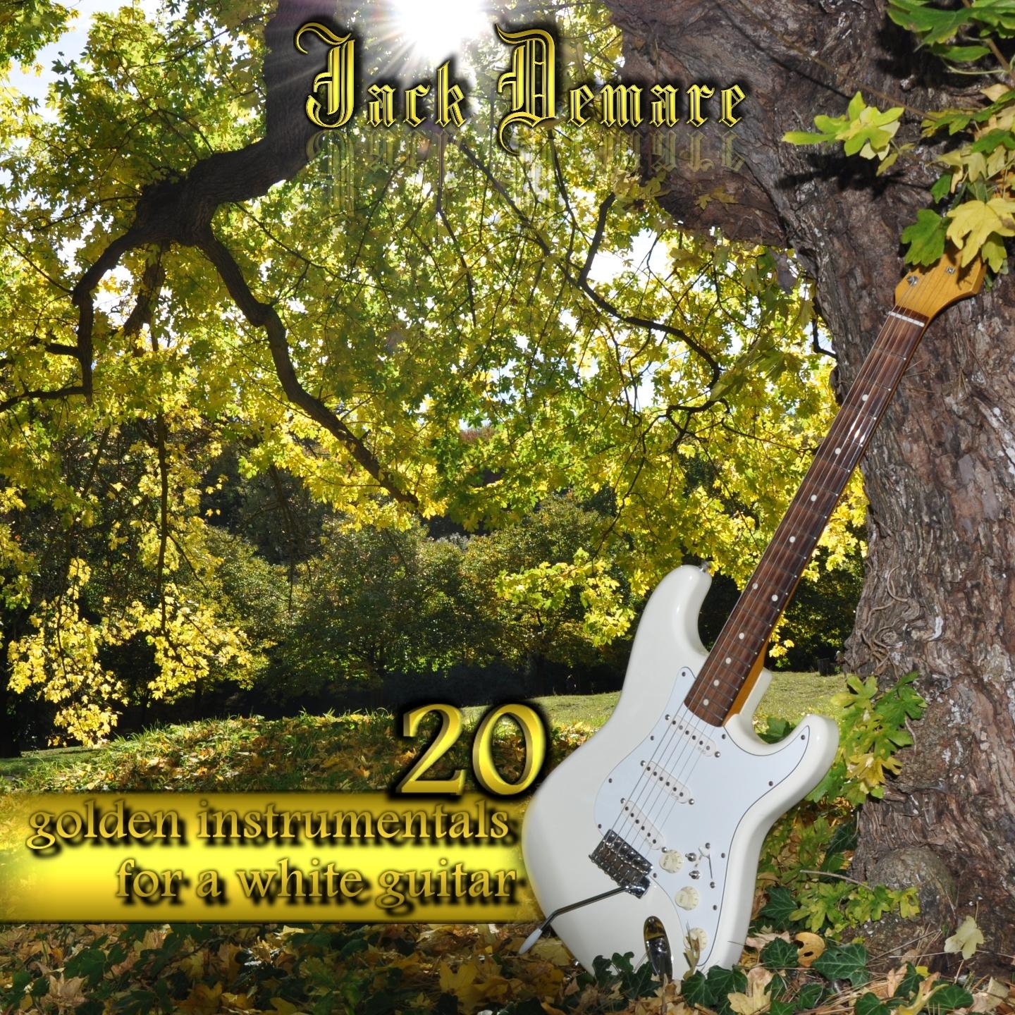 20 Golden Instrumentals for a White Guitar
