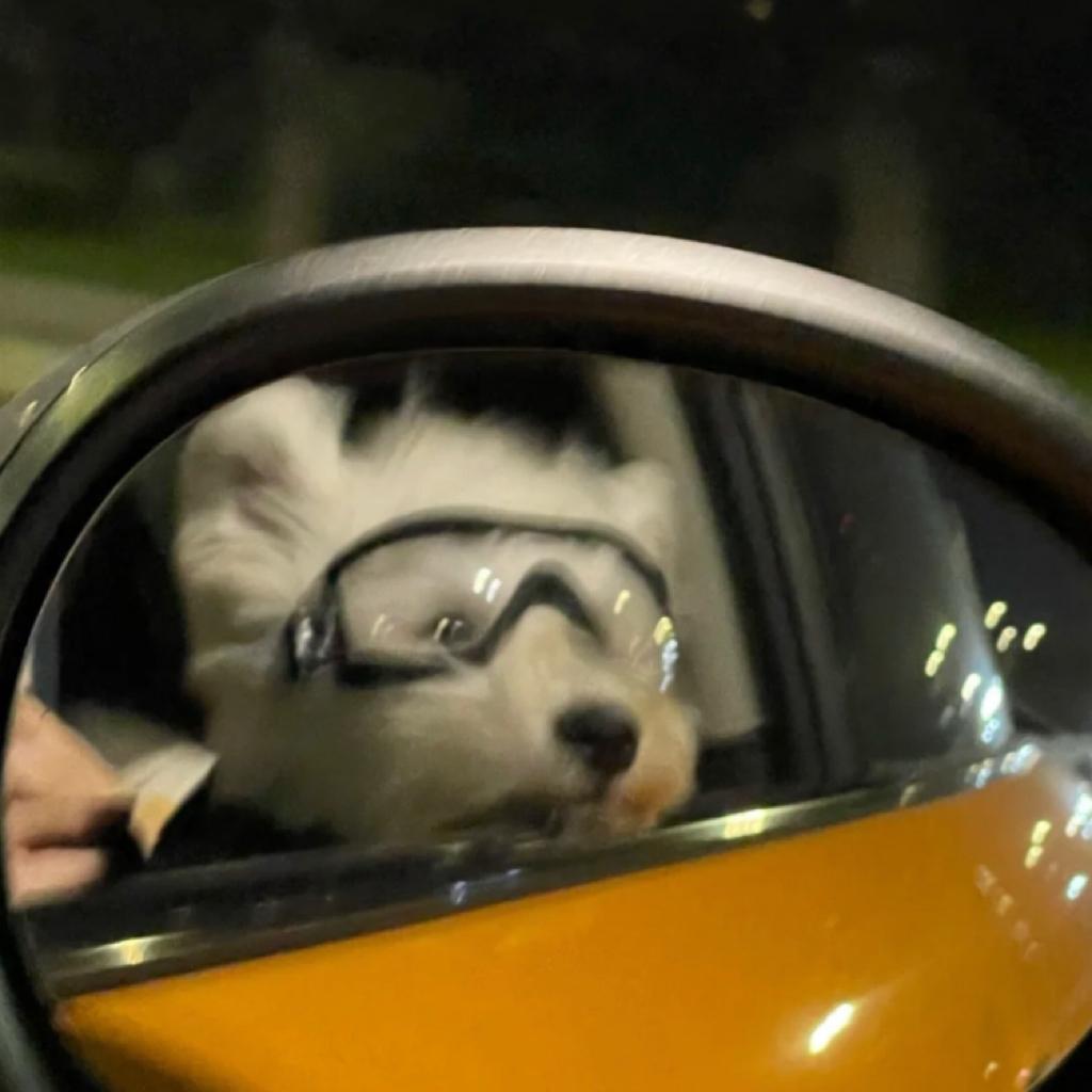 我也不太了解她