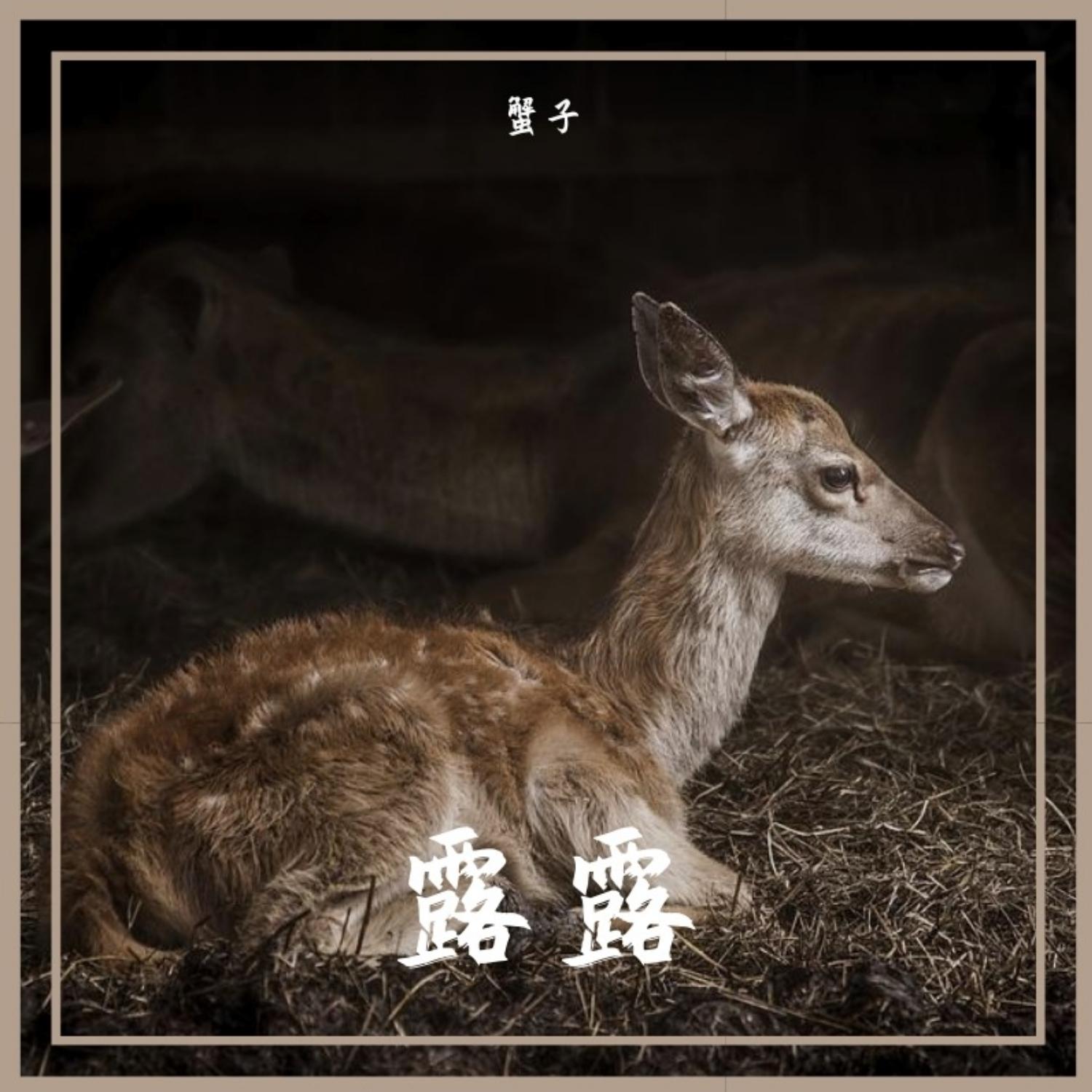 露露 (正式版)