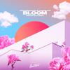 Lucas Estrada - Bloom (Brendan Mills Remix)