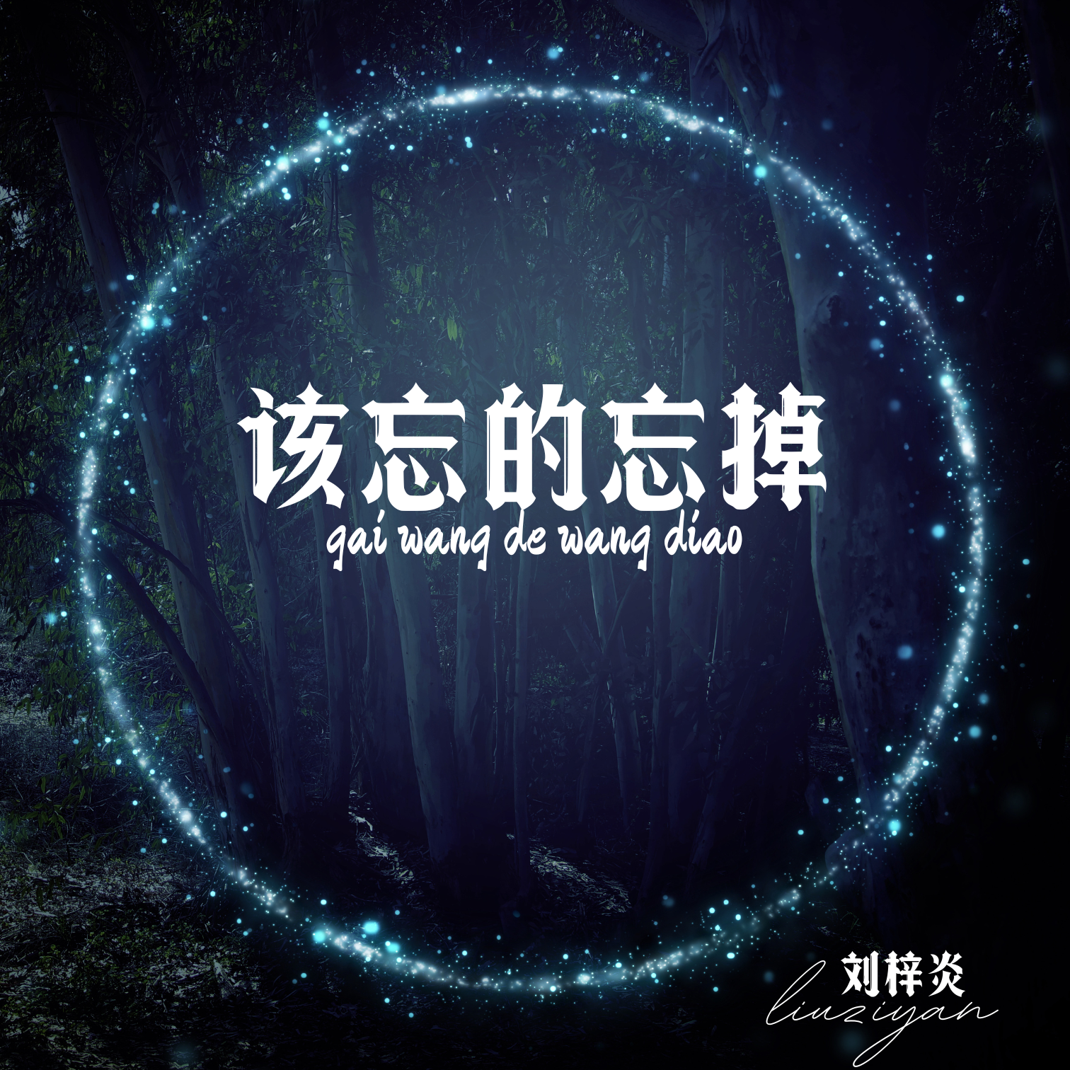 该忘的忘掉demo