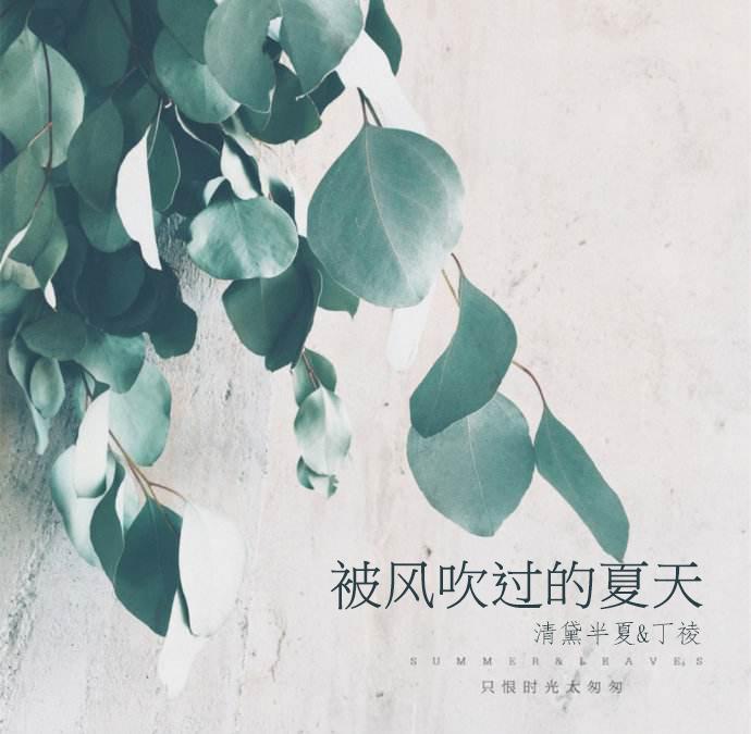 被风吹过的夏天COVER（金莎&林俊杰）专辑